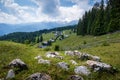 Zajamniki on a plateau Pokljuka in Slovenian Alps