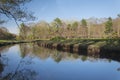 Zak preserve marsh landscape maine Royalty Free Stock Photo