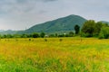 Zakarpattia landscape in Ukraine Royalty Free Stock Photo