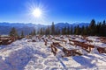 Zakopane at Tatra mountains in winter Royalty Free Stock Photo