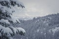 Zakopane town in the valley in winter