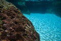 Zakynthos underwater Royalty Free Stock Photo