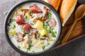 Zalewajka is a traditional rustic soup made of diced and boiled potatoes and overflowed with sour rye sourdough with sausage and Royalty Free Stock Photo