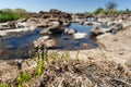 Zambezi River Above Victoria Falls in Africa Royalty Free Stock Photo