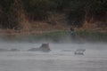 Africa - Zambezi River - Zambia