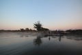 Africa - Zambezi River - Zambia