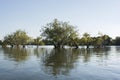 Zambezi river