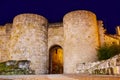 Zamora door of Dona Urraca in Spain