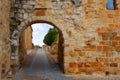 Zamora Puerta del Obispo door in Spain