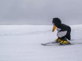 Zams, Austria - 22 Februar 2015: Ski school. Ski instructor in penguin costume