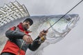 Zander fishing. Photo collage of angler in action, fisherman catch walleye fish by spinning rod on soft focus pikeperch background Royalty Free Stock Photo