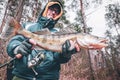 Zander in the hand of an angler. Catch and release Royalty Free Stock Photo