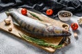 Zander, walleye with herbs. Raw fish. Gray background. Top view