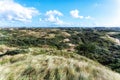 Zandvoort, Netherlands, Landscape with Plants