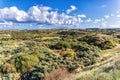 Zandvoort, Netherlands, Landscape with Plants