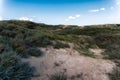 Zandvoort, Netherlands, Landscape with Plants