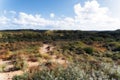 Zandvoort, Netherlands, Landscape with Plants