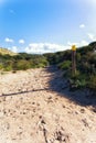 Zandvoort, Netherlands, Landscape with Plants