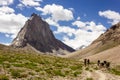 Trekkers walking with horses on a trail