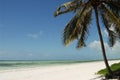 Zanzibar beach