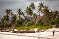 Zanzibar beach coconut trees