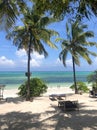 Zanzibar beach scene at high tide Royalty Free Stock Photo