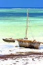 zanzibar beach seaweed indian and boat