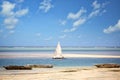 Zanzibar coastline