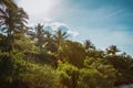 Zanzibar Coastline