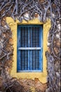 Zanzibar prison island and a old window closed