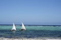 Zanzibar sail boats Royalty Free Stock Photo