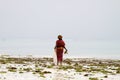 Seaweed farmers in the blue water off the white beach in Zanzibar