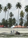 Men burn a boat on the beaches of Zanzibar