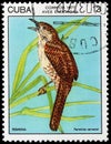 Zapata wren stamp