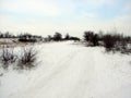 Zaporizhzhia. Ukraine. Landscapes of snow-covered steppe forests in the south of Ukraine.