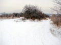 Zaporizhzhia. Ukraine. Landscapes of snow-covered steppe forests in the south of Ukraine.