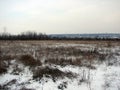 Zaporizhzhia. Ukraine. Landscapes of snow-covered steppe forests in the south of Ukraine.