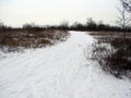 Zaporizhzhia. Ukraine. Landscapes of snow-covered steppe forests in the south of Ukraine.