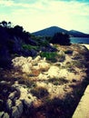 Zapuntel, Molat island, Croatia Royalty Free Stock Photo