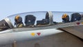 Tornado bomber pilot cockpit