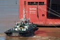 Zarate, Argentina - 22 August 2018: Big car carrier ship leaving Zarate port with tug boat assistance and pilot boat. Royalty Free Stock Photo