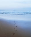 Zarautz beach. Footsteps on the beach of Zarautz with the mouse of Getaria in the background, Euskadi Royalty Free Stock Photo