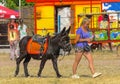 Zarechany, Ukraine - June 10, 2018. Horseback riding. Meeting of