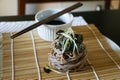 Zaru Soba Royalty Free Stock Photo