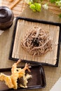 Zaru soba Royalty Free Stock Photo