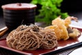 Zaru soba Royalty Free Stock Photo