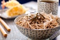 Zaru soba Royalty Free Stock Photo