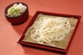 Zaru udon Royalty Free Stock Photo