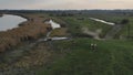 Zasavica nature reserve Serbia cattle grazes on pasture