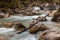 In the Zauberwald, enchanted forest, near Ramsau Royalty Free Stock Photo